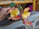 20140918_125205