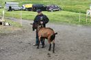 Alpinul fara coarne