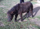 PICT0196