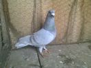 Imag 012872
