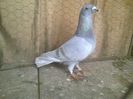 Imag 012874