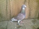 Imag 012878