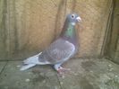 Imag 012887