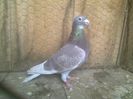 Imag 012889