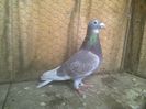 Imag 012890