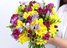 buchet-de-mireasa-din-frezii-flori-de-lux-ro-image0-3611081