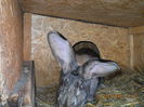 Picture 040