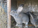 Picture 053