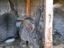 Picture 062