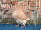 IMG_3868 f 2014