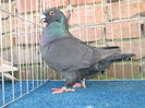 IMG_3872 f 2013