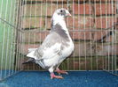 IMG_3898 f 2014