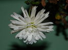 DSCN0556