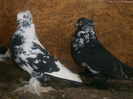 P2050769