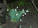 DSCN0570