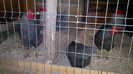 2015-02-04-3406