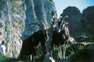 Alpine Britanice in Alpi la pascut