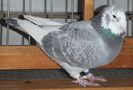 DSCF8432