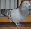 DSCF8447