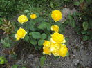DSC09787