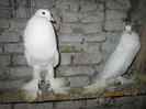 Picture 011
