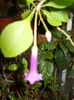 DSCN7437