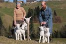 Germanii si caprele Saanen