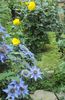 DSC04387