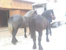 10098401_AYTGHKMLA[1]