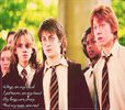 tu cine pu;;la mea mai eşti? #luke ; hei tipule #fane