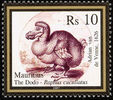 Dodo----Raphus-cucullatus(3)