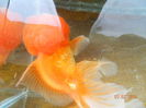 Picture 059