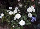 DSC05575