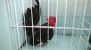 WP_20140805_017