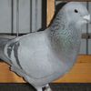 DSCF8447