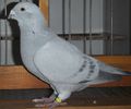 DSCF8149