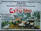 expo Covasna