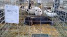 IMG_20150207_112243813