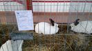 IMG_20150207_112717700