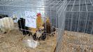 IMG_20150207_114459097
