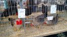 IMG_20150207_114521827