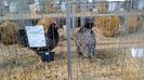 IMG_20150207_114612694