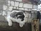 2015-02-07 16.26.47