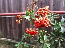 IMG_20150129_142959