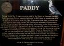 paddy-plaque3
