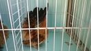 WP_20140805_030