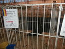 P2060010