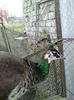 IMG_20141127_162010