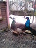 IMG_20150124_151320