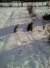 IMG_20150106_113035
